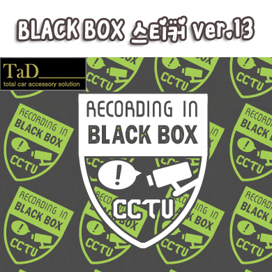 Blackbox / 블랙박스 v13 스티커